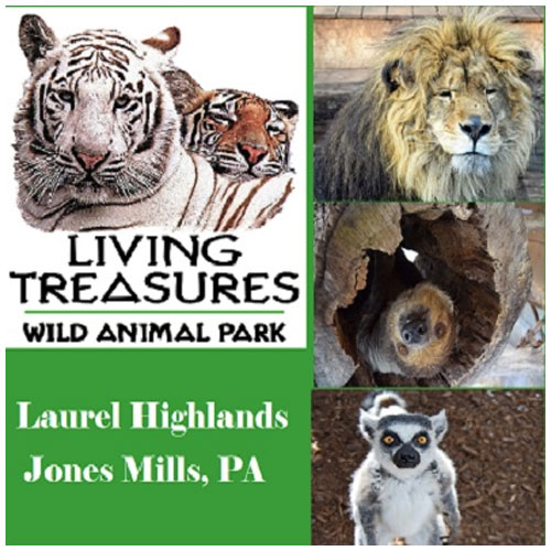 Living Treasures Wild Animal Park - Laurel Highlands Zoo